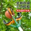 Herramienta para Recoger Fruta con Poste Telescópico y Tres Garras para Recoger Manzanas, Granadas, Peras y Caquis de Lugares Altos