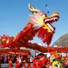 Accesorios de gran tamaño para la danza del dragón, dragón de tamaño adulto para actuaciones, linternas para el Festival de los Faroles, Año Nuevo y Festival de la Primavera, cabeza de dragón, cuentas de dragón, dragón de tela