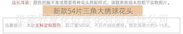 54片潘毛布三角大绣球花头_08.jpg