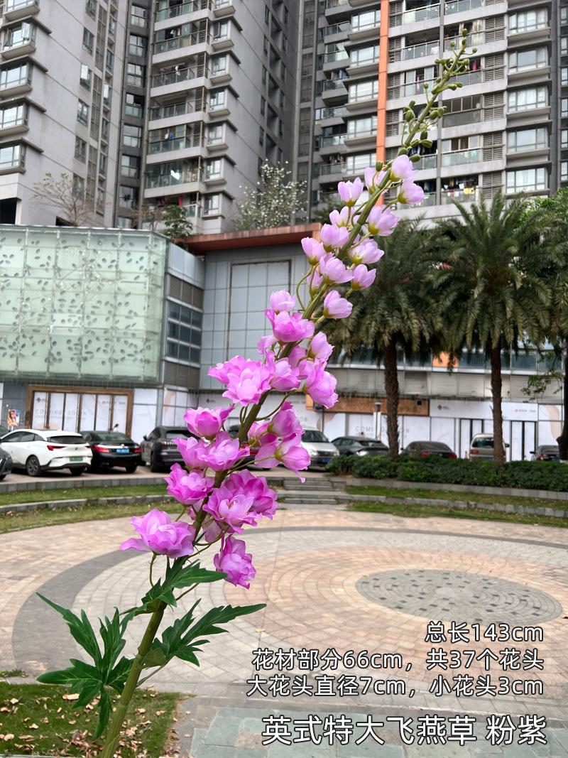 英式特大飞燕草 粉紫.jpg