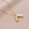 Colar pingente de amendoim em aço titânio, não desbota, feminino, celebridade da internet, transmissão ao vivo, com corrente simples e elegante para a clavícula, joia versátil e moderna