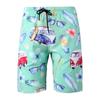 Verano 2026 Comercio Exterior Transfronterizo Pantalones Cortos de Playa para Hombre Estampados Pantalones Cortos Deportivos de Playa Tallas Grandes Europeas y Americanas Artículos de Venta Caliente