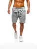 2026 Comercio Exterior Verano Pantalones Deportivos Ligeros para Hombre Shorts Casuales de 5 Puntos para Correr y Fitness Shorts de Playa de Color Sólido a la Moda