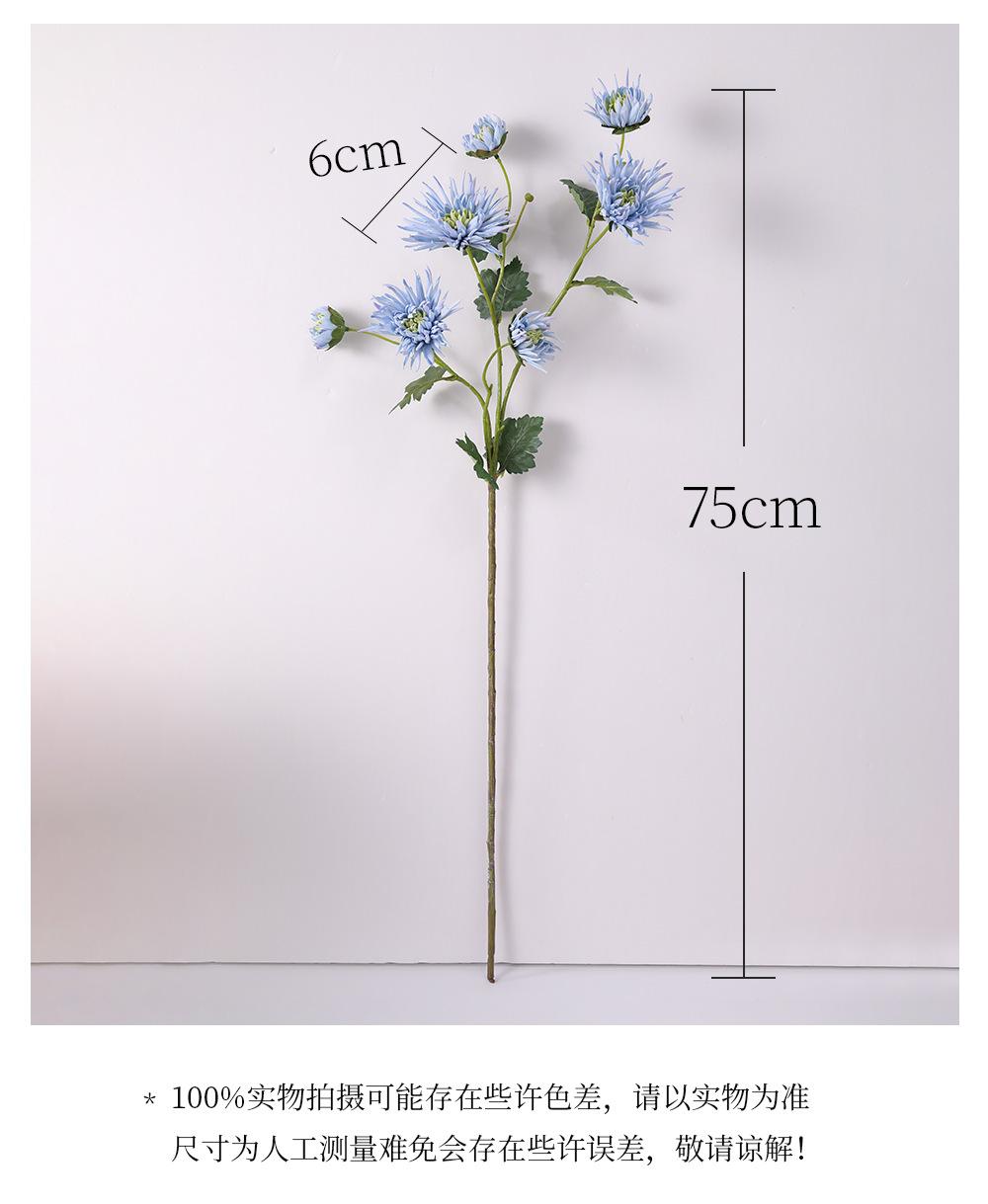 详情_03.png