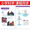 Construção de Modelo de Torre para Sexto Ano com Materiais de Palito, Parte 2, Artesanato Científico de 20cm para Pequenos Engenheiros do Ensino Fundamental