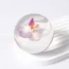 Peso de Papel Personalizado Bola de Resina com Flores Secas Transfronteiriça Acrílico com Espécime Embutido Bola de Cristal Transparente Artesanato Artificial Enfeites