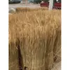 Decoración de Tejado de Granja Cortina de Paja Paja Seca Hierba para Mascotas Tejado de Paja Natural Paja
