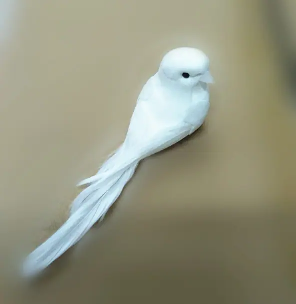 小白鸟歪头