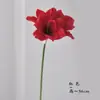 Flores: Crinum Latifolium, Clívia, Arranjos de Flores, Arte Floral, Flores de Seda, Sensação Realista, 3 Flores, Decoração de Casa, Amarílis, Atacado, Sensação Hidratante