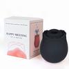 Vibrador Cross-border Rose Meet Huan Suck Egg Jumping Vibrador Massageador Feminino Suprimentos Femininos Adultos