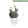 Ornamento Decorativo de Cacto Simulada Cactus de Interior Planta Verde Tropical do Deserto Paisagismo Vitrine Floreira Exibição