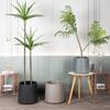 Atacado do Fabricante Vasos de Flores de Plástico, Vasos para Plantas Verdes de Escritório, Vasos de Plantio Espessados e Pesados de Camada Dupla com Base, Design Simples Mais Vendido