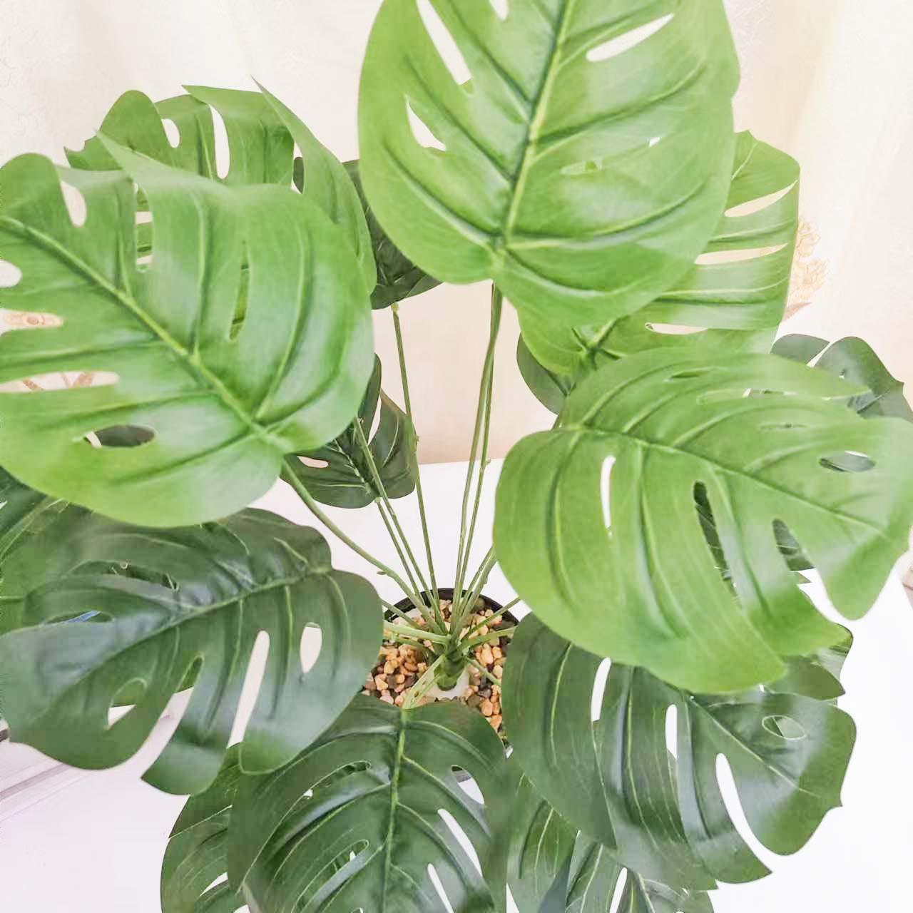 微信图片_20230306101135