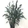Flores Eternas Erva da Pequena Esperança Flores Secas Flores Verdadeiras Branqueamento Cor acessórios de buquê absorção de cor Erva da Pequena Esperança Fábrica de Yunnan Atacado Flores Eternas