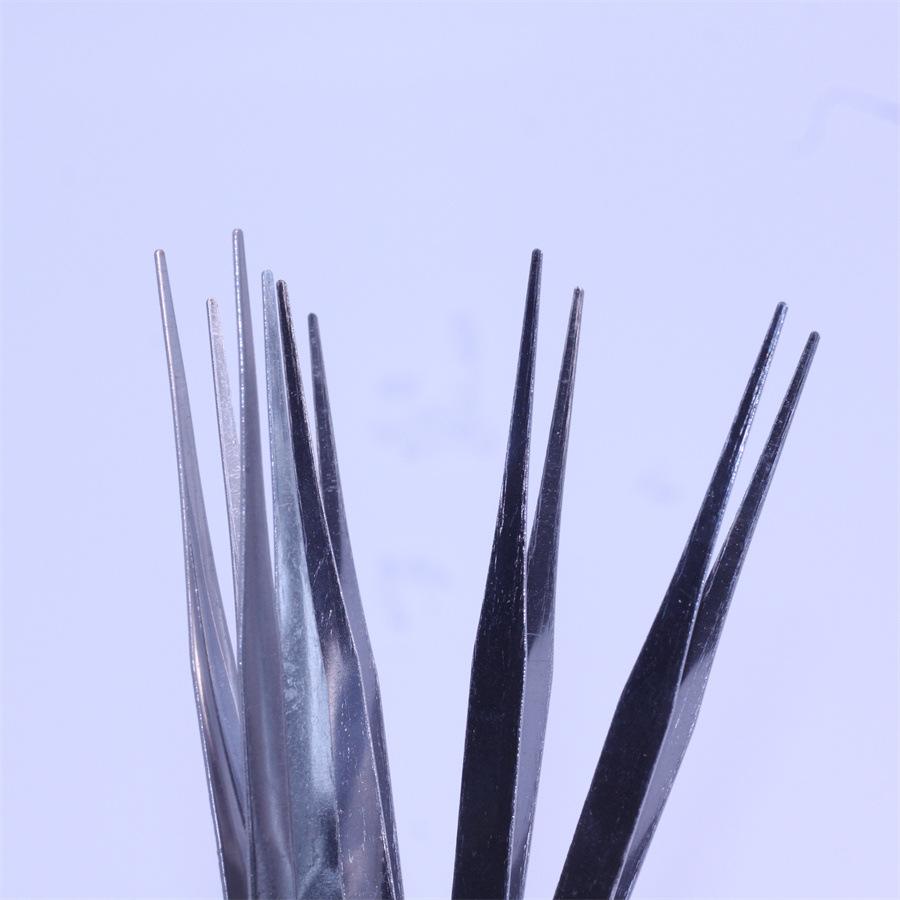 薄镊子直 (6).JPG