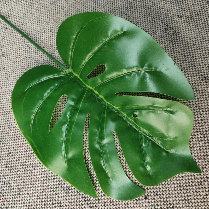 单只连体龟背浅绿色