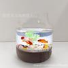 Jarrón Estilo Japonés Vidrio Transparente Adorno para Arreglo Floral Rábano Verde Hidropónico Centella Asiática Acuario Ecológico de Escritorio Pecera de Peces Dorados