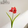 Fiorera Clivia Estilo INS Flores Artificiais para Decoração de Casa Flores Falsas Atacado Buquês de Mão Decorações de Casamento Transfronteiriças