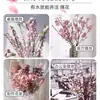 Plántulas, Perlas, Ciruelas Pasas, Ramas de Durazno, Flores de Cerezo, Plantas Hidropónicas con Brotes, Florales Secos Cortados Frescos, Sauces de Nieve Cultivados en Agua de Interior