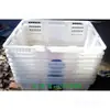 Caja para Recoger Bayas Mora Segunda Mano Caja de Plástico Desechable Canasta de Transporte Longan Paloma Pollo Mascota Expreso Haimaitaibao