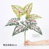 Plantas Verdes Artificiales Paisajismo Plantas Falsas Plantas en Maceta Hoja de Tortuga Árbol del Dinero Palma del Viajero Palma Areca Planta Potos Arreglo Floral de Pared