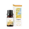 Comercio exterior transfronterizo aceite esencial de aromaterapia soluble en agua humidificador piedra expansora aceite esencial interior armario ambientador incienso fresco