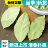 Colección Completa de Especias y Condimentos: Anís Estrellado, Canela, Hojas de Laurel, Clavos, Raíz de Angélica, Condimento para Estofado de Carne, Venta al por Mayor Comercial
