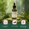 Superventas transfronterizo de Amazon LYMPHORIA suplemento alimenticio gotas linfáticas, nutritivo y fácilmente absorbible