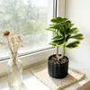 Vaso de Pedra Preto com Planta Verde de Folha Redonda Decoração Bonsai para Quarto, Estudo, Mesa de Casa, Planta em Vaso Pequena com Folhas de Toque Realista