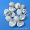 Artesanías de Caracolas Naturales Vendidas por Libra para Acuarios, Fotografía, Educación de Estudiantes y Niños, Minería y Uso Marino