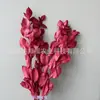 Arranjo de flores eternas folha laranja com ramos de folhagem, materiais florais DIY com toque de alta qualidade, atacado de fabricante de Yunnan, decoração de flores eternas
