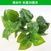 Césped artificial de plástico con simulación de plantas verdes para pared, sala de estar, balcón, fondo verde, flores, puerta, decoración