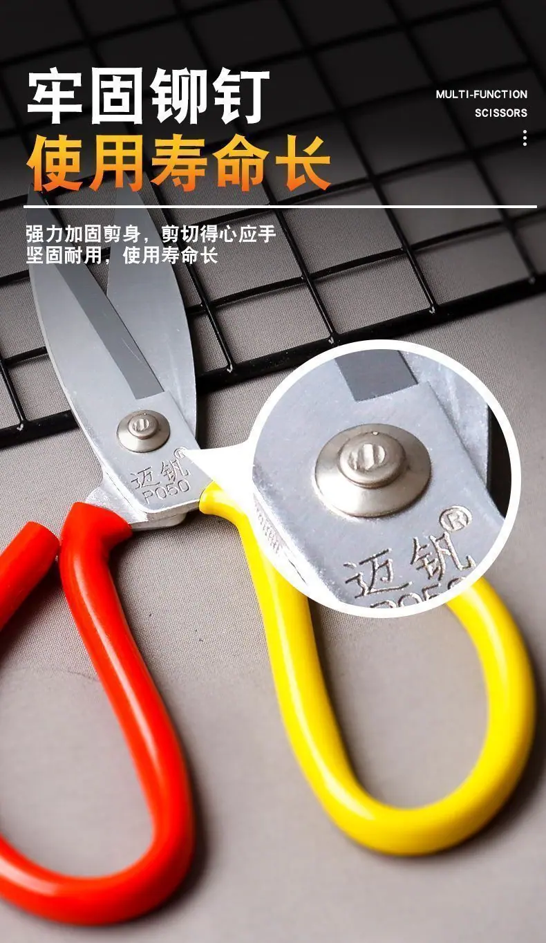 dbd363e7-5fde-4759-b2b2-3dc10d8166d2.jpe