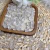 Cristal branco leitoso natural com contas soltas, contas de cristal facetadas irregulares com furo passante, corda trançada para beadwork manual, acessórios de corte