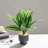 Flores Artificiais, Árvore de Ferro Brasileira, Plantas Verdes Artificiais, Plantas em Vasos, Decorações para Casa Interna, Decorações de Mesa de Casamento, Bonsai Simulado