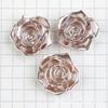 Flor Rosa ABS Perla Imitación Flor DIY Casero Crema Pegamento Material para Funda de Teléfono Bolsa DIY Adorno para Cabeza Accesorios para el Cabello