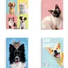 Caderno Espiral (capa dura) Meus Pets 80 Folhas.