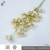 Ruixiang pequeno fresco colza flor palco fundo parede paisagismo decoração seda flor casamento salão banquete arranjo flor falsa flor