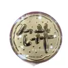Shuibei Oro Moneda Grande de Oro Hoja de Oro Puro 999 Moneda de Oro 520 Feliz Cumpleaños Princesa, Por Favor Prospera, Tienda de Oro Regalo Souvenir
