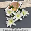 Ornamento Artificial de Lírio de 4 Cabeças com Pétalas Duplas para Decoração de Casa Flor Artificial Adereço de Fotografia Buquê Cenário para Vitrine Decoração de Flor Artificial