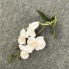 Novo Novo Único 4 Cabeças Phalaenopsis Decoração de Sala de Estar Enfeites de Mesa Arranjo de Flores De Chão Casamento Floral Orquídea Phalaenopsis
