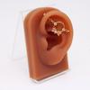 Moda Transfronteriza Europea y Americana Aretes de Tuerca para Hueso de la Oreja con Forma de Corazón y Mariposa, Aretes Puente para la Oreja de Acero de Titanio de Alta Gama, Venta al por Mayor de Fábrica de Joyería para Perforaciones