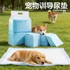 Almofada de Fralda para Cachorro Espessa Desodorante Absorvente Almofada de Fralda para Pet Almofada Absorvente Fralda para Coelho Gato Fralda Descartável
