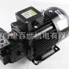 Bomba de Aceite Combinada Motor Horizontal Trifásico Nachi Uvn-1A-1A3-15-4-Q01-6