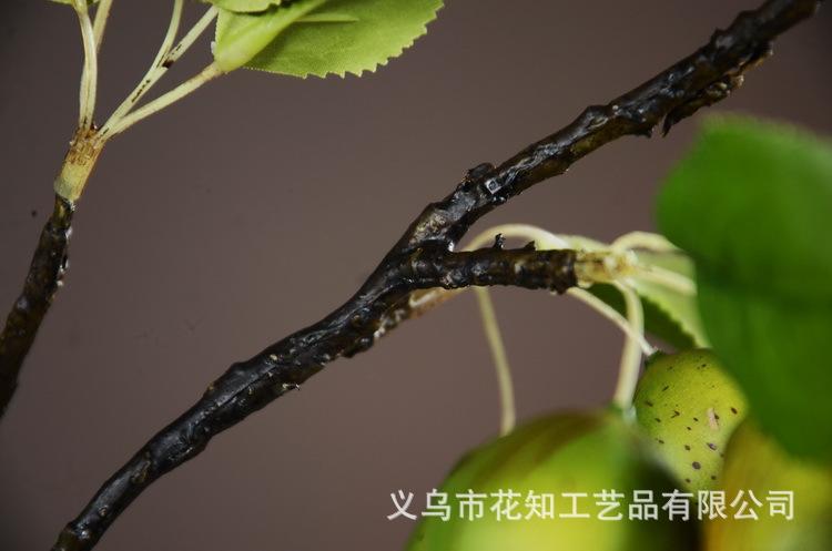 3-9绿色欧罗梨子..jpg