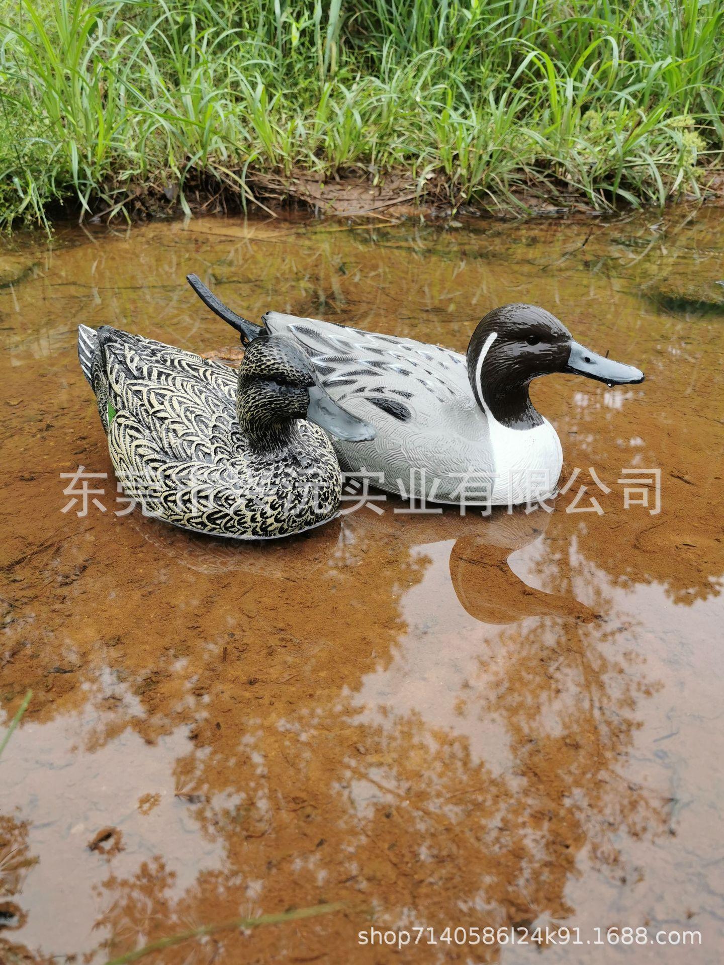 a8033b35244f42b7be7940d242e8e9