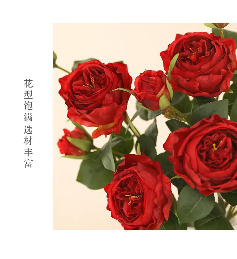 王国德拉秀玫瑰_10.jpg