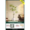 Planta en Maceta de Piso Nandina Domestica, Planta Verde Artificial Grande para Interiores, Decoración de Lujo Ligero para Sala de Estar, Árbol Artificial