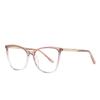 T2008 Moda Personalidade Primavera Perna Brasil Amazon TR90 Pin Anti-Blue Light Frame Óculos