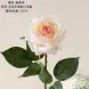 Flores Artificiais de Rosa Realistas com um Toque Doce, Fabricante Transfronteiriço de Flores Artificiais, Flores Artificiais e Plantas Verdes no Atacado, Artesanato para Decoração de Casamento, Estilo Ins
